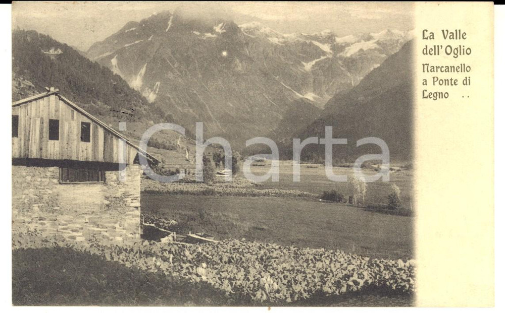 Cartolina originale da collezione 1910 PONTE DI LEGNO Panorama in VALLE DELL OGLIO Cartolina postale FP VG 1