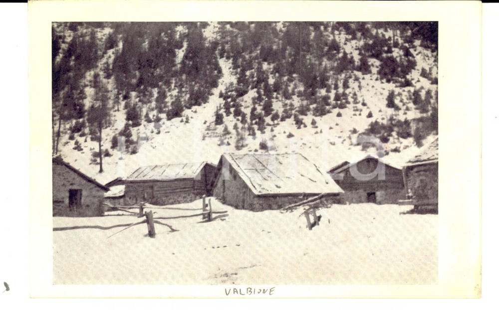Cartolina originale da collezione 1920 ca PONTE DI LEGNO Casette in località VALBIONE Cartolina postale FP NV 1