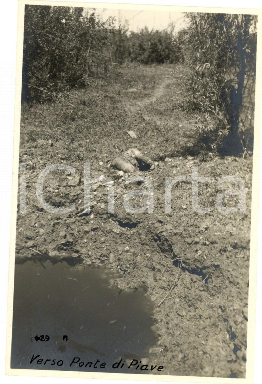 Fotografia d epoca originale 1918 WW1 FRONTE DEL PIAVE  Terreno di battaglia Fotografia 9x14 cm 1
