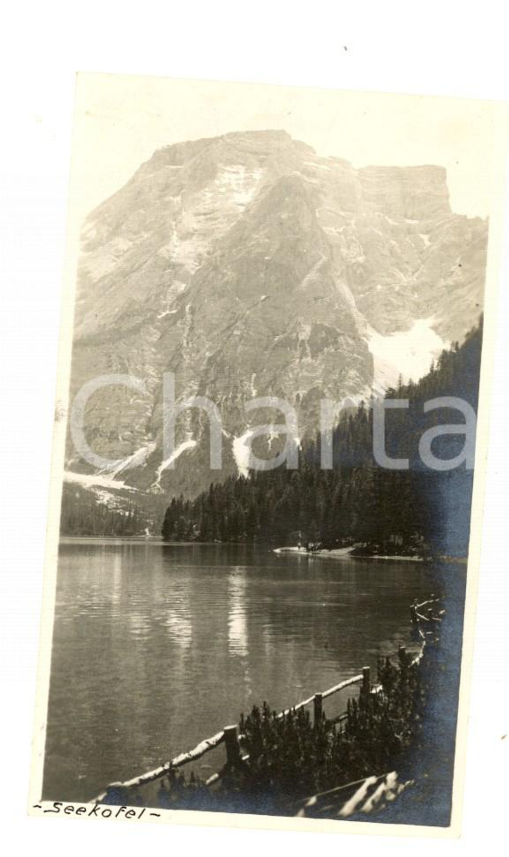 1919 DOLOMITI Veduta della CRODA DEL BECCO / SEEKOFEL *Foto VINTAGE 6x11 cm