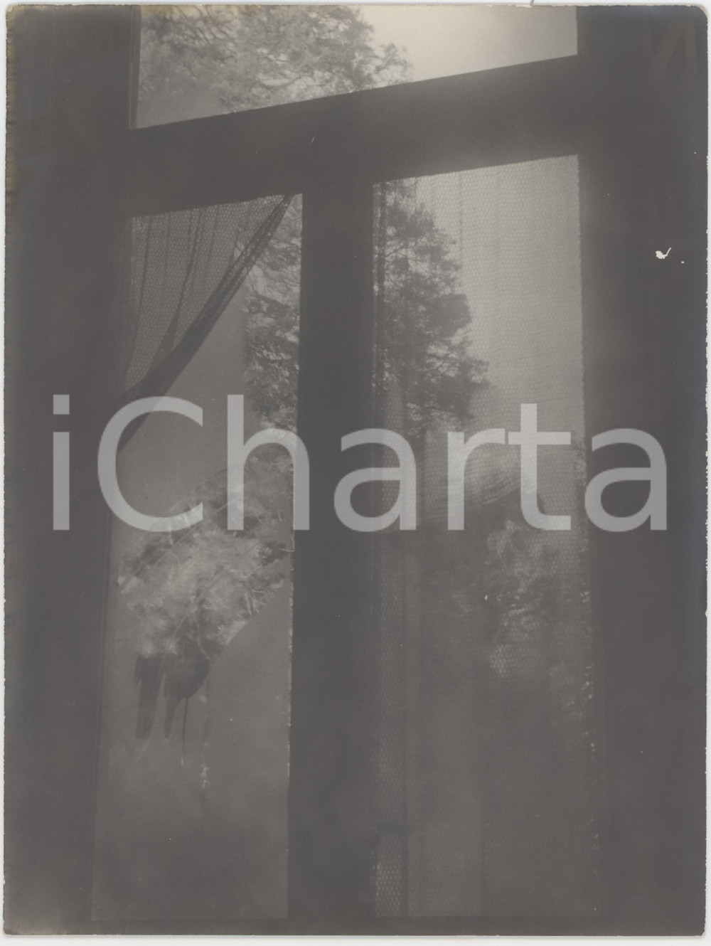 Fotografia d epoca originale 1950 ca ITALIA  Veduta dalla finestra  Foto ARTISTICA 18x24 cm 1