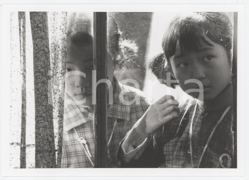 Materiale cinematografico d’epoca 1995 CINEMA  LA MÃ”ME SINGE Fu DI Chang HUNGMEI  Foto 18x12 cm 1