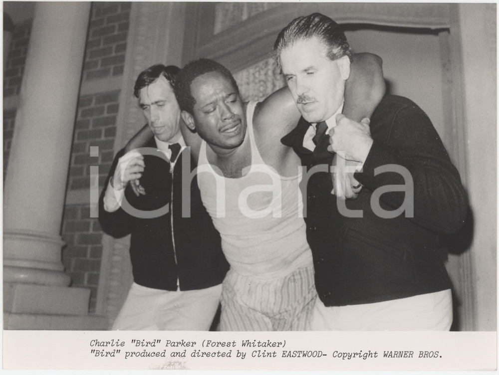 Materiale cinematografico d’epoca 1988 CINEMA Bird Regia di Clint EASTWOOD  Forest WHITAKER Ritratto  Foto 1 1
