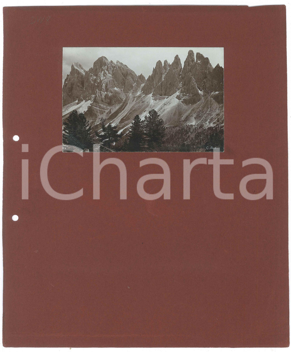 Fotografia d epoca originale 1900 ca DOLOMITI  GRUPPO DELLE ODLE Grande Fermeda  Foto FRITZ GRATL INNSBRUCK 1