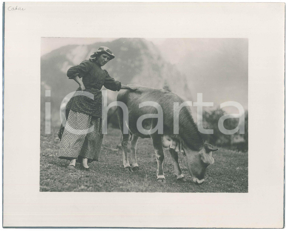 Fotografia d epoca originale 1940 ca DOLOMITI  CADORE Pastorella con mucca al pascolo  Foto 30x24 1