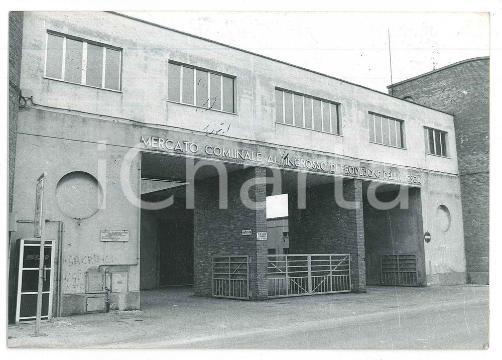 Fotografia d epoca originale 1990 ca FANO Mercato comunale all ingrosso di produzione della pesca Foto 14x10 1