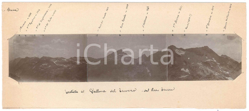 Fotografia d epoca originale 1920 ca ALPI  PIZZO TRUZZO  Testata del Gallone del Truzzo  Foto 24x11 cm 1