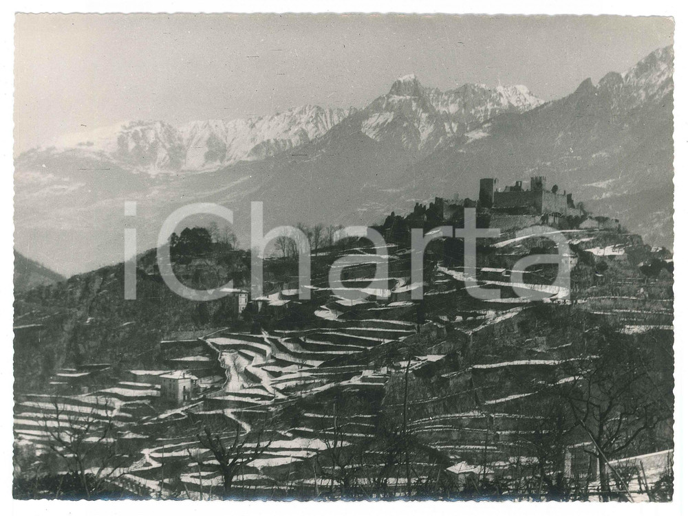 Fotografia d epoca originale 1950 ca LOMBARDIA  VALTELLINA  Circuito dei castelli  Veduta Foto 1