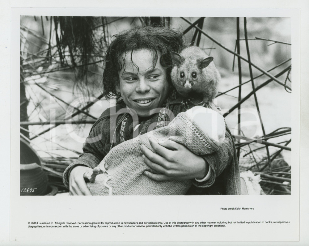 Materiale cinematografico d’epoca 1988 CINEMA  WILLOW Warwick DAVIS Foto 25x20 cm 1