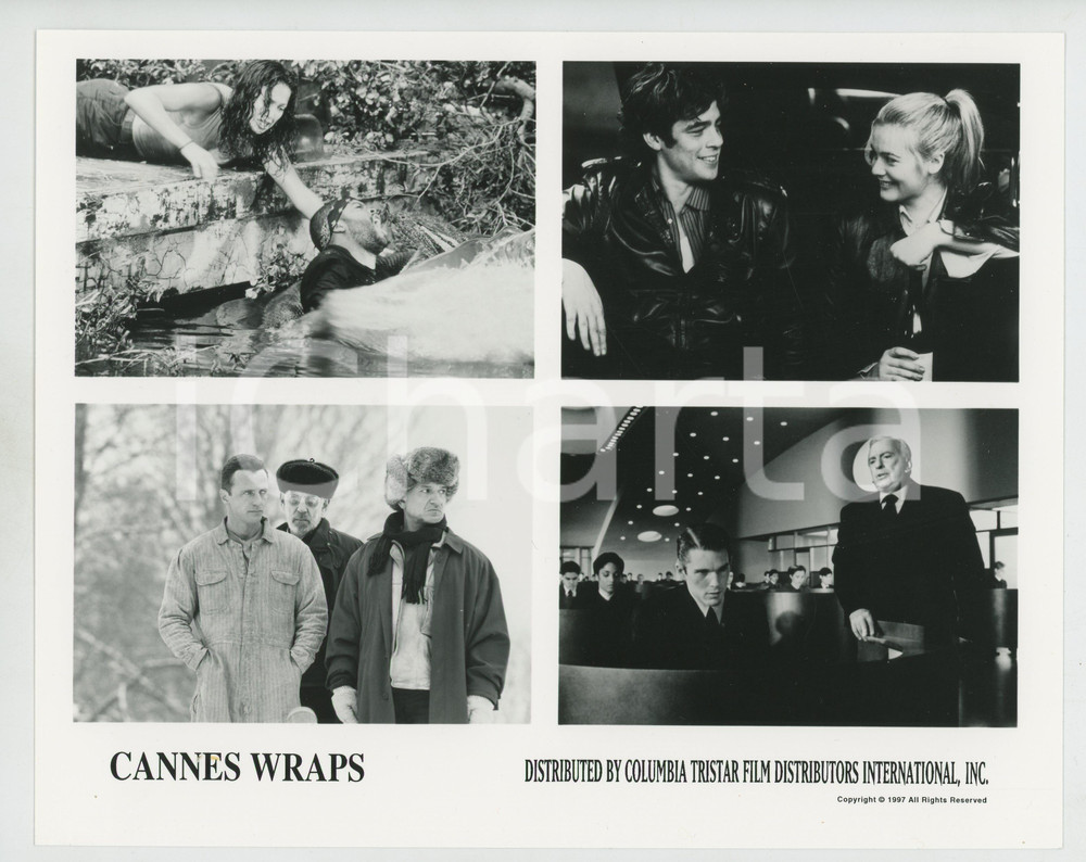 Materiale cinematografico d’epoca 1997 COLUMBIA TRISTAR Cannes wraps 50 CANNES FILM FESTIVAL Photo 25x20 cm 1 1