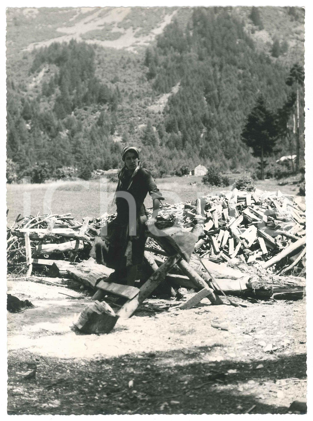 Fotografia d epoca originale 1950 ca LOMBARDIA  AMPI  Donna tra la legna tagliata Foto artistica 17x23 cm 1