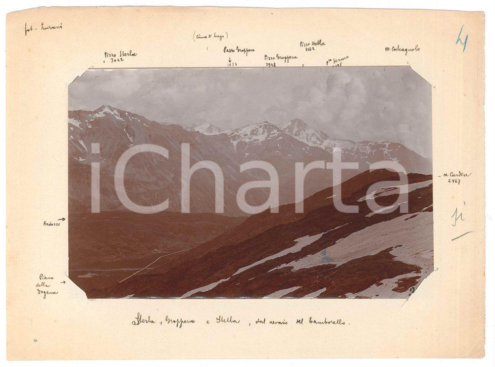 Fotografia d epoca originale 1910 ca VALTELLINA Pizzo Sterla e Pizzo Groppera dal nevaio del TAMBORELLO Foto 1