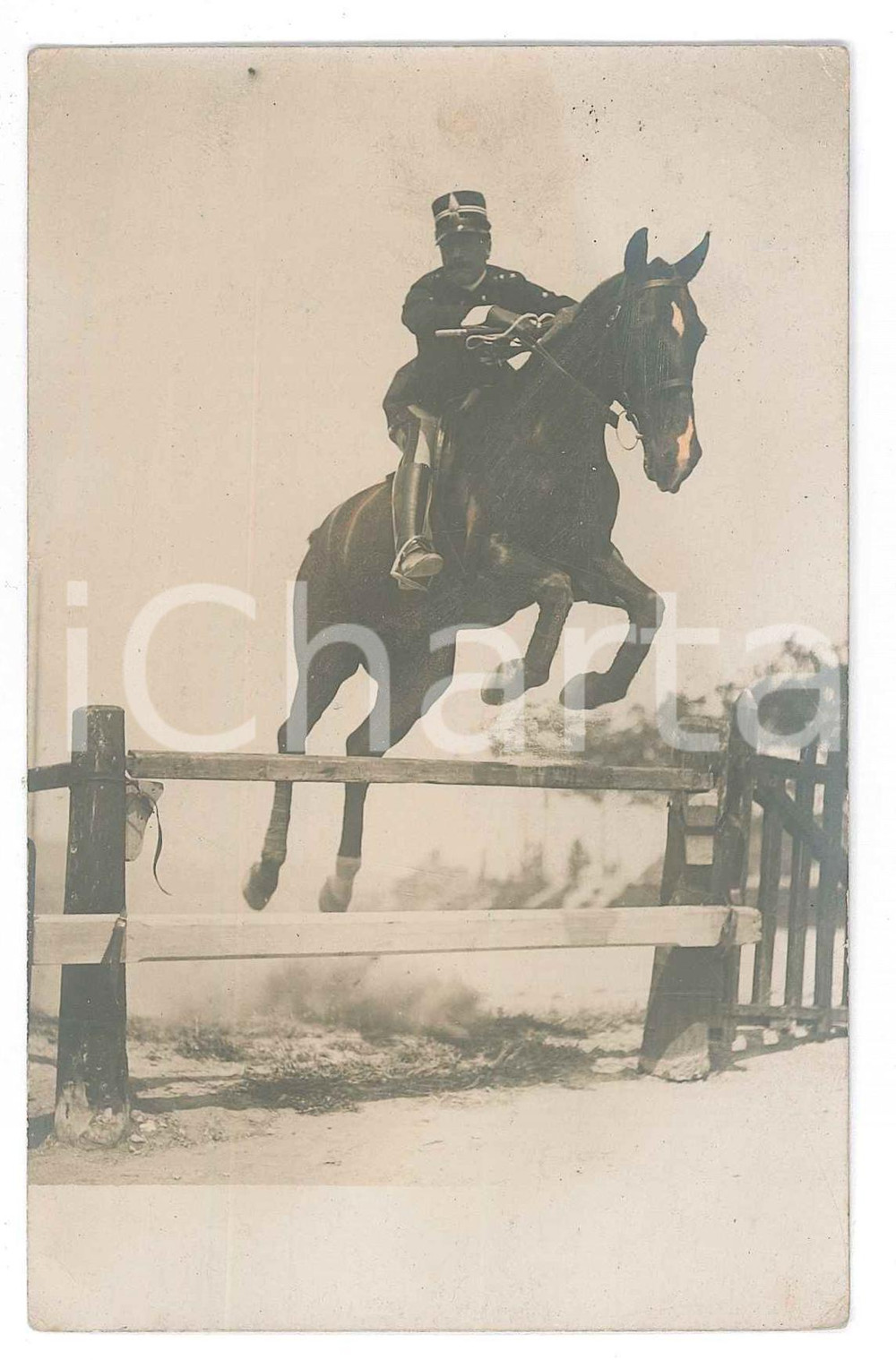 Fotografia d epoca originale 1910 ca ITALIA  IPPICA  Ufficiale al salto  Ritratto  Foto 9x14 cm 1