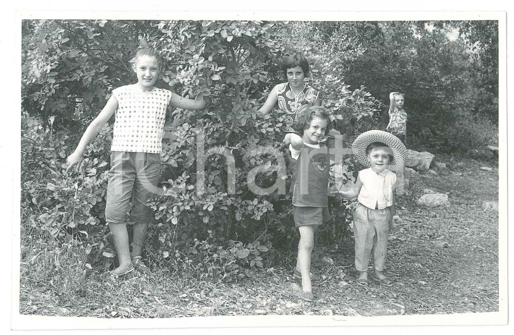Fotografia d epoca originale 1955 ca Area di BARI  Bambini dell Istituto BOREA al parco  Foto JULIA 18x13 1