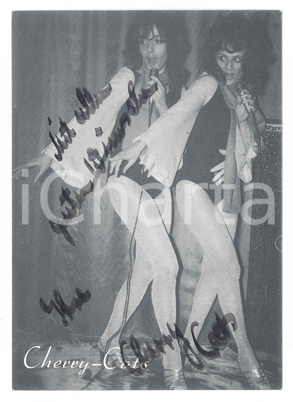 Autografo originale 1970 ca GERMANY  MUSIC  The CHERRYCATS  SIGNED Photo 10x15 cm BINGOLA 1