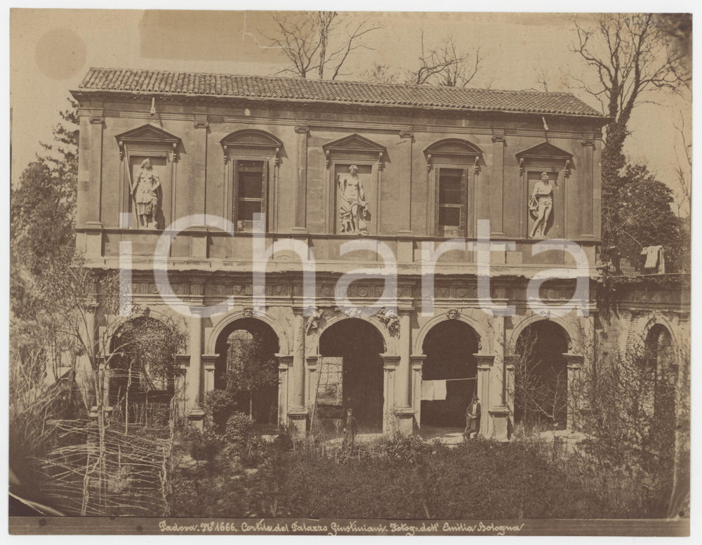 Fotografia d epoca originale 1900 ca PADOVA Cortile di Palazzo Giustiniani  Fotografia DELL EMILIA  ANIMATA 1