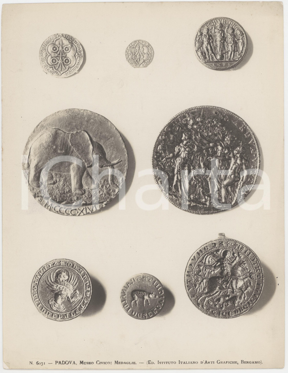 Fotografia d epoca originale 1940 ca PADOVA Museo Civico  Medaglie  Foto ARTI GRAFICHE BERGAMO 19x25 cm 1