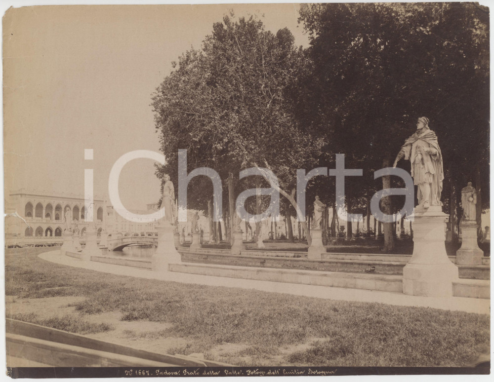 1900 ca PADOVA Prato della Valle - Veduta - Foto dell'Emilia 24x19 cm