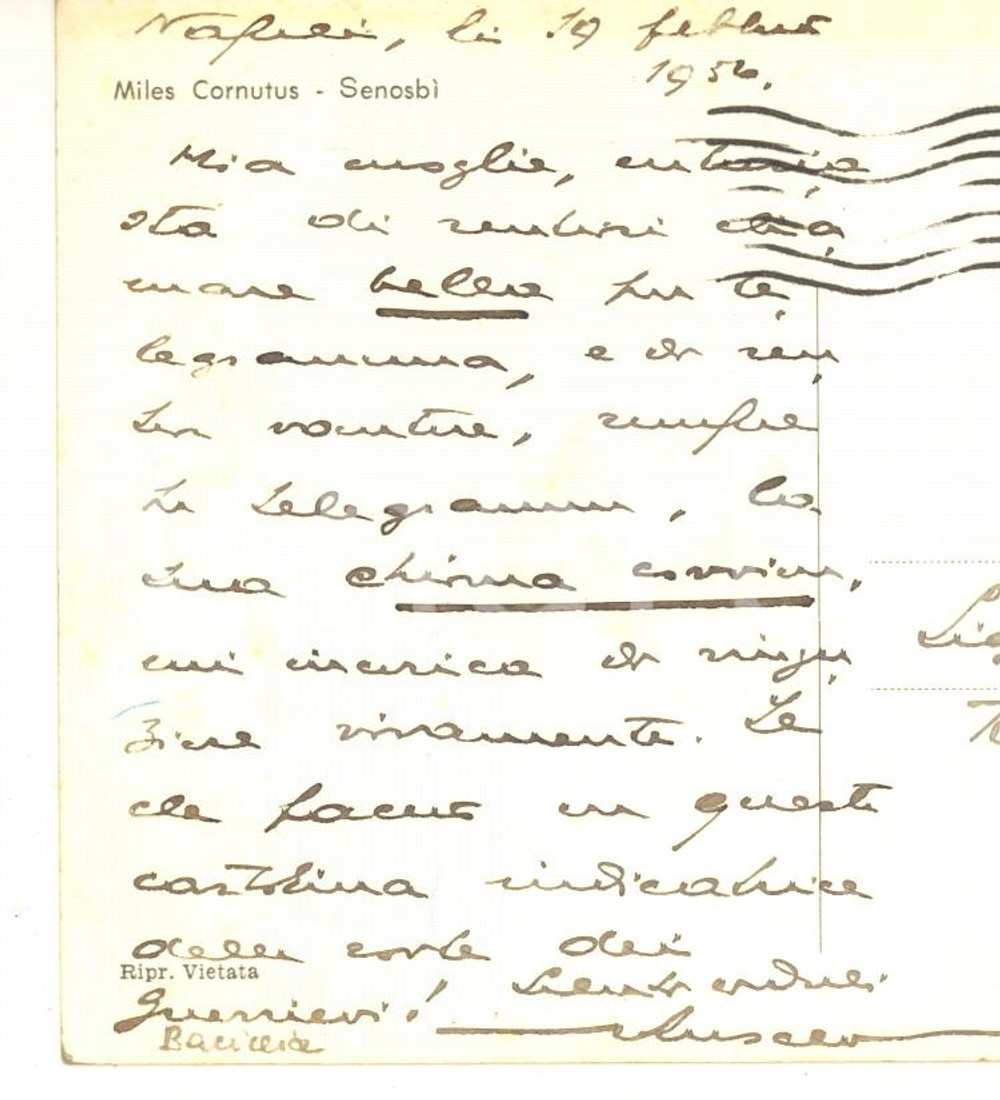 1956 NAPOLI Cartolina Giovanni ANSALDO - Ringraziamenti - AUTOGRAFO