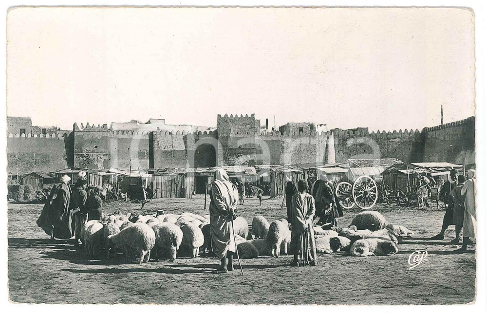Cartolina originale da collezione 1930 ca SFAX  TUNISIE Bab Djebli  Cartolina ANIMATA FP NV 1