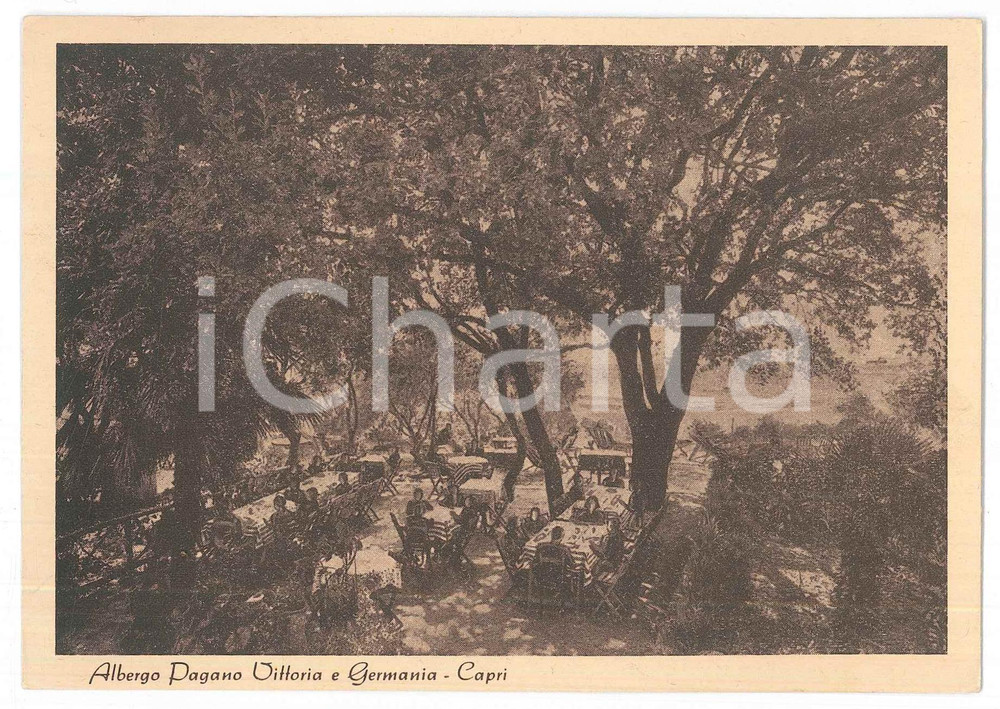 Cartolina originale da collezione 1930 ca CAPRI Albergo Pagano Vittoria e Germania  Cartolina ANIMATA FG NV 1