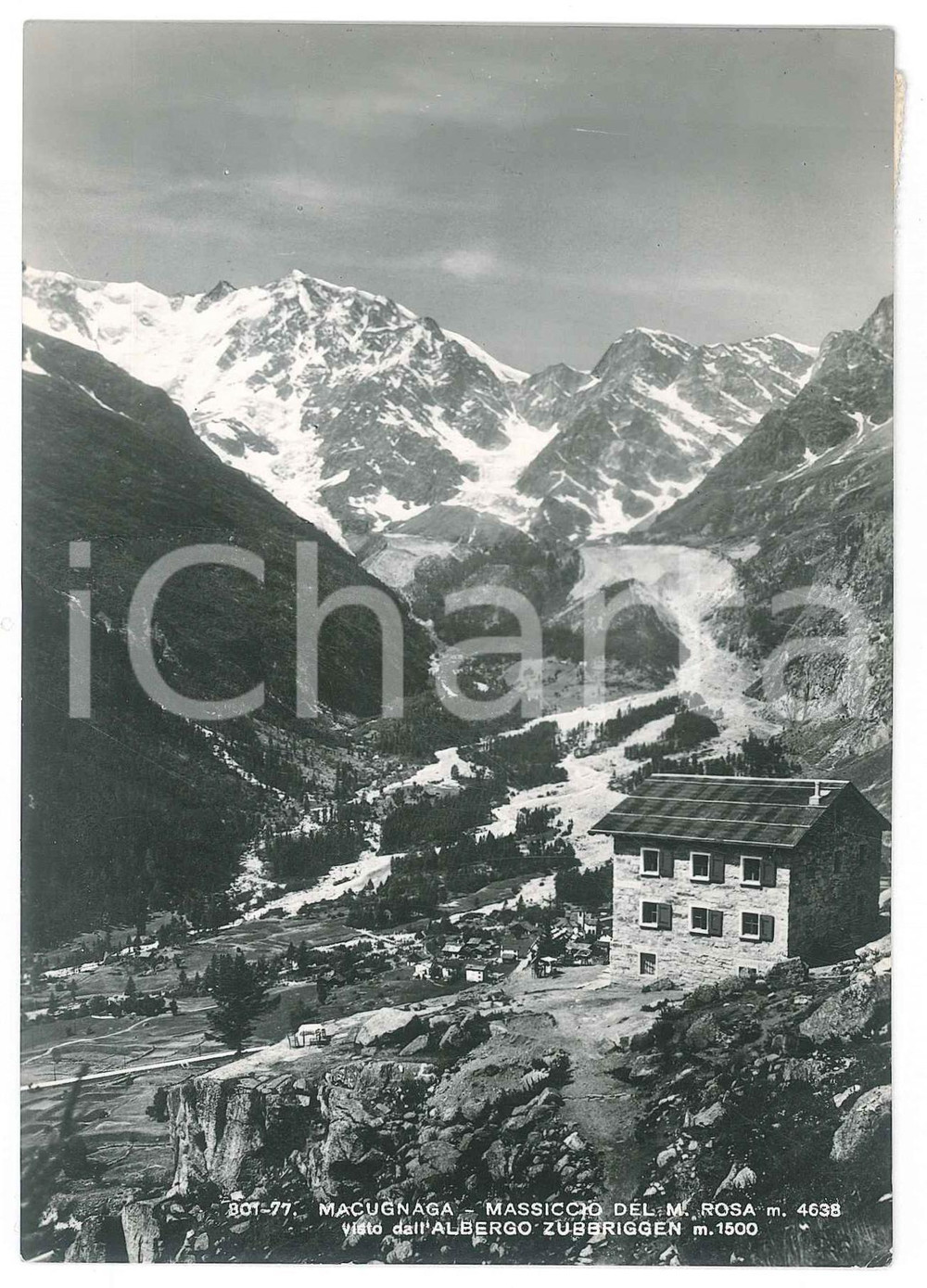 Cartolina originale da collezione 1952 MACUGNAGA Massiccio del Monte Rosa dall Albergo ZURBRIGGEN Cartolina FG VG 1