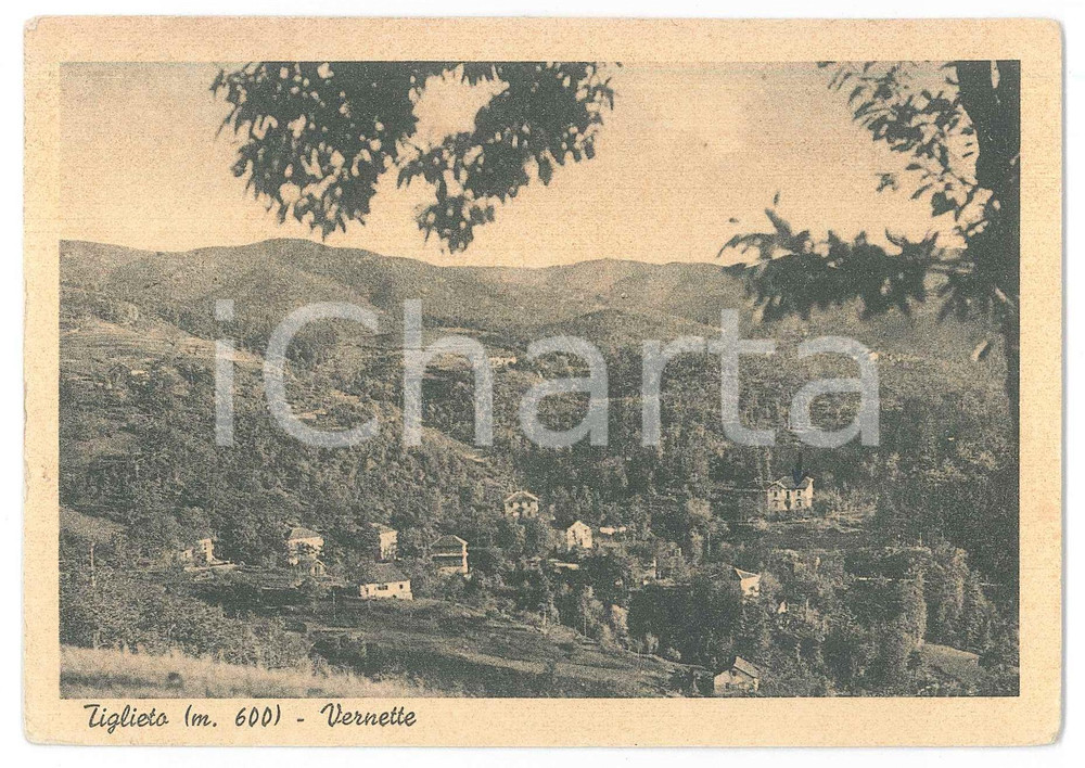 Cartolina originale da collezione 1954 TIGLIETO Frazione di CASA BRUCIATA VERNETTE Panorama  Cartolina FG VG 1