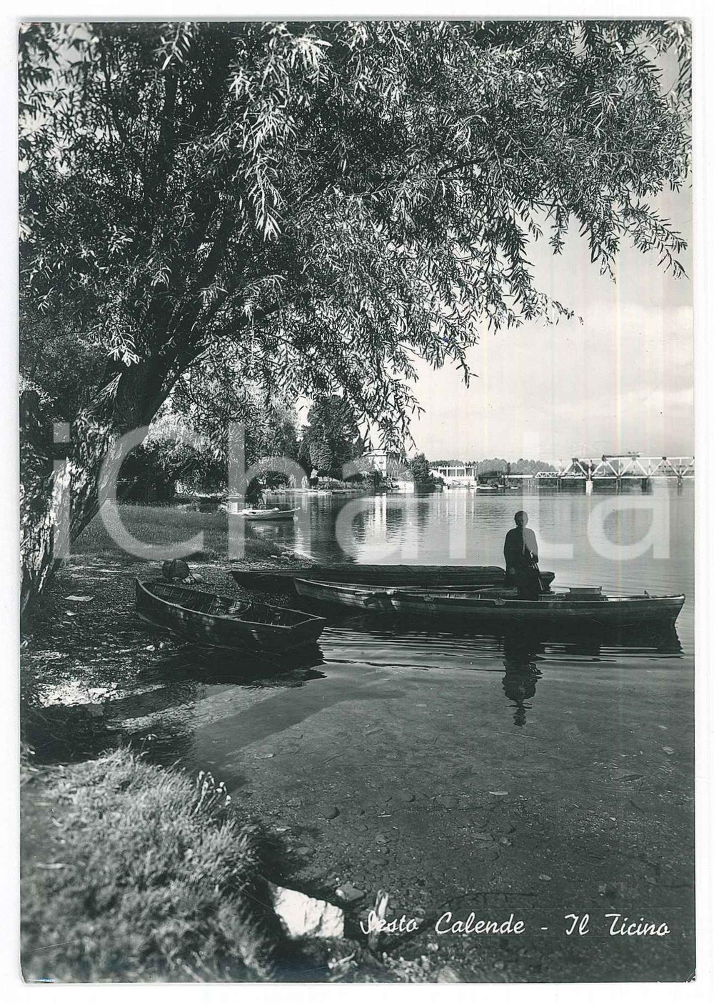 Cartolina originale da collezione 1951 SESTO CALENDE Barche e uomo in riva al LAGO MAGGIORE Cartolina FG VG 1