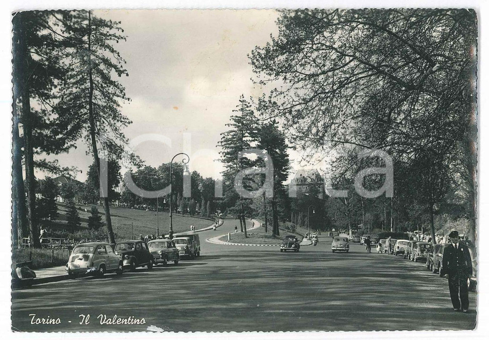 Cartolina originale da collezione 1958 TORINO Parco del Valentino  Automobili e vigile urbano  Cartolina FG VG 1