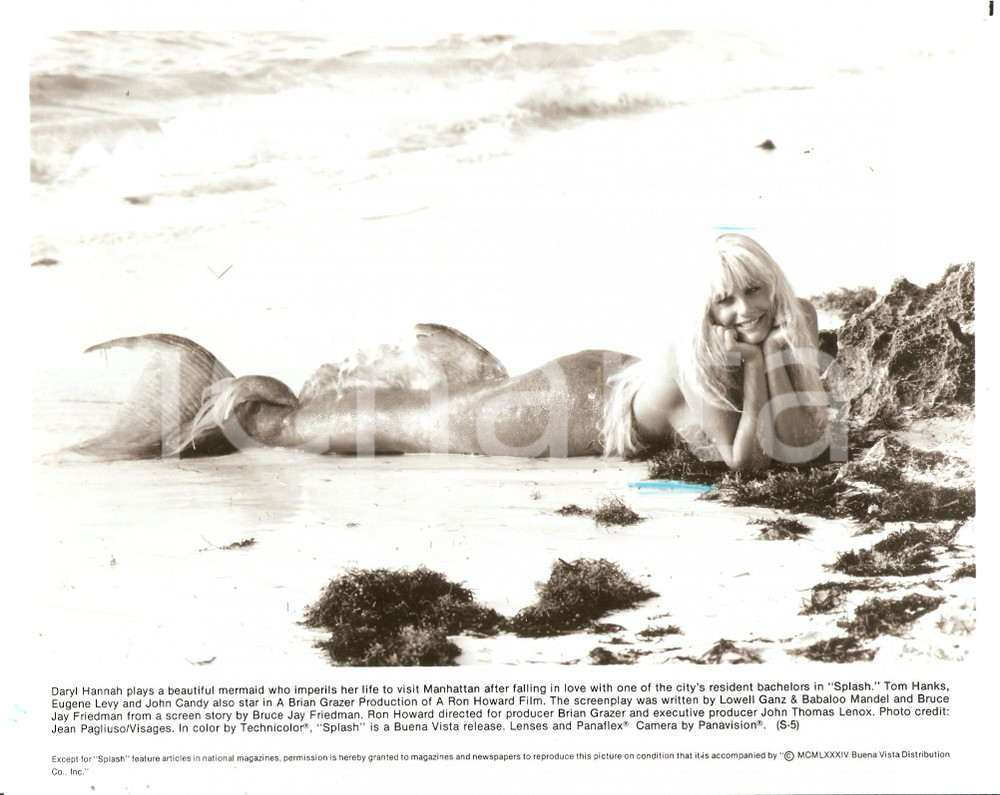 Fotografia d epoca originale 1984 SPLASH Daryl HANNAH as a mermaid  Movie by Ron HOWARD Photo 25x20 cm 1