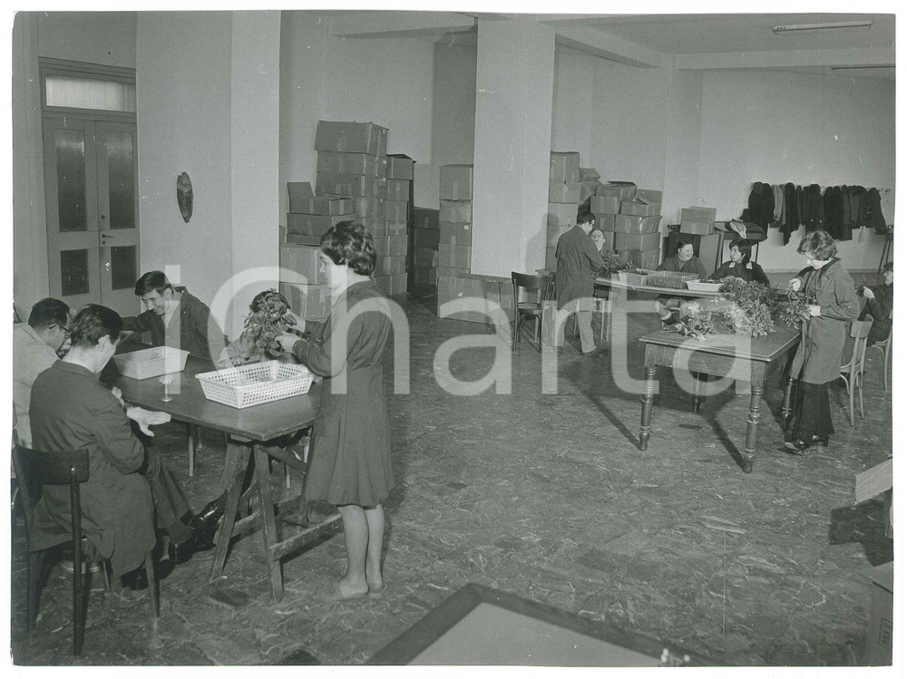 Fotografia d epoca originale 1967 TORINO Via A. Doria  Centro di lavoro per subnormali psichici  Foto 4 1