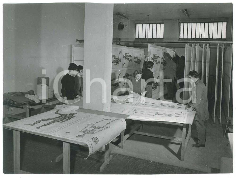 Fotografia d epoca originale 1967 TORINO Via A. Doria  Centro di lavoro per subnormali psichici  Foto 6 1