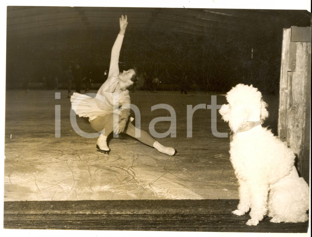 Fotografia d epoca originale 1959 ICESKATING STREATHAM ICE RINK Skater Diana CLIFTONPEACH and her dog Photo 1