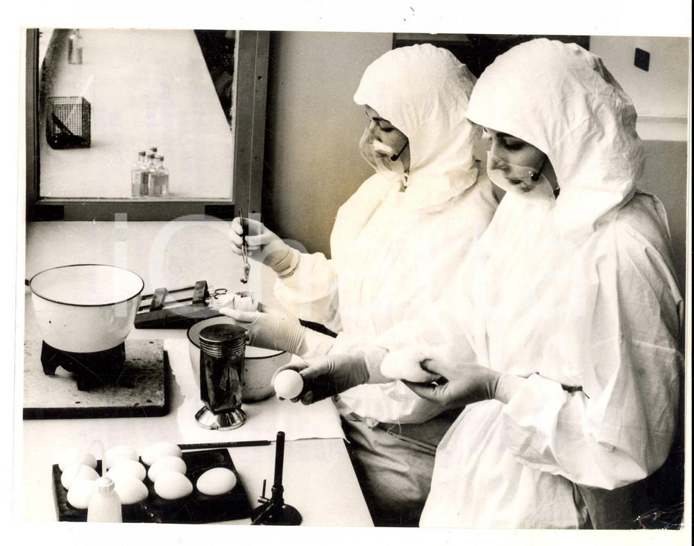 Fotografia d epoca originale 1959 BECKENHAM UK Laboratory workers in the battle against yellow fever Photo 1