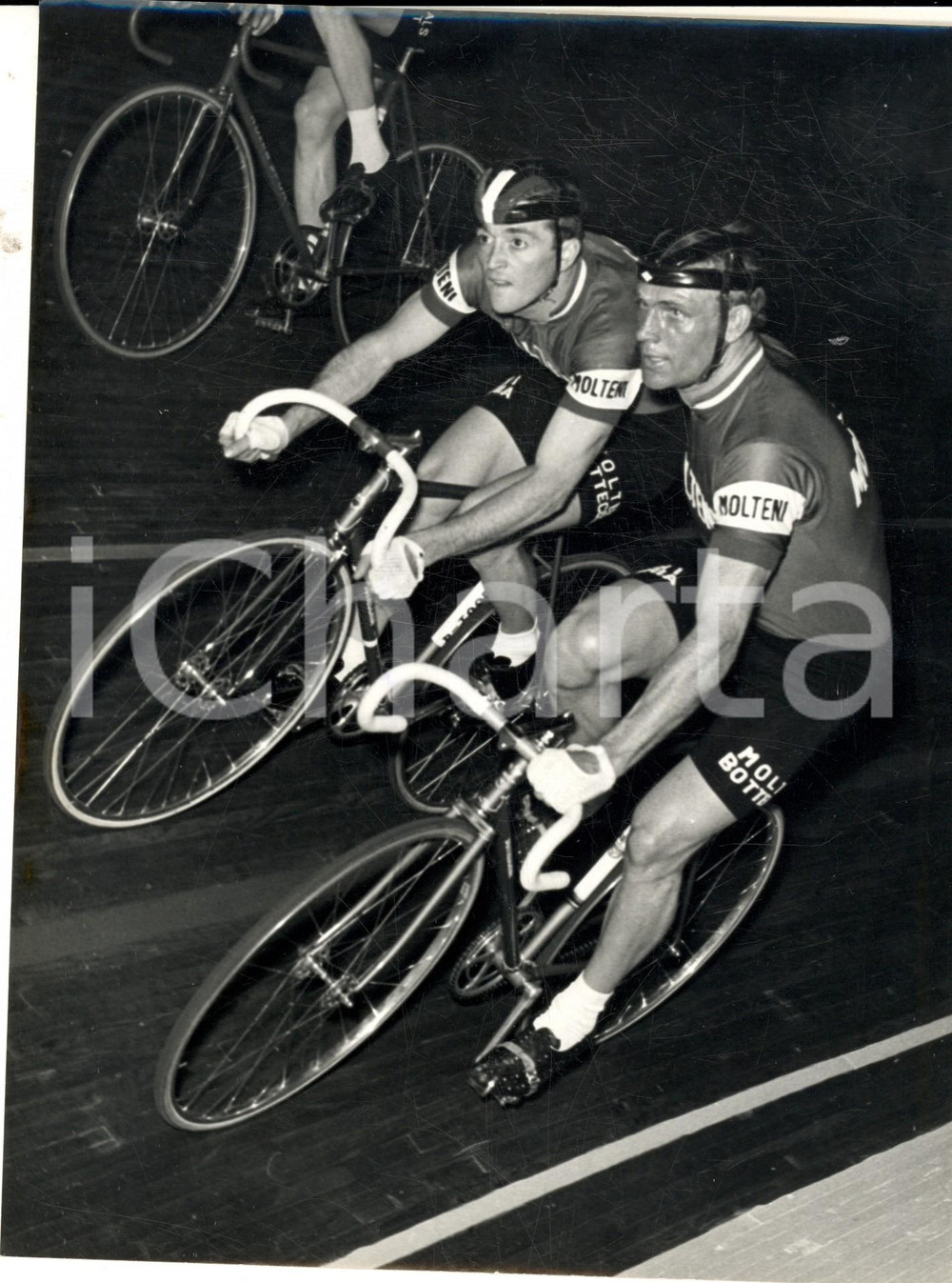 Fotografia d epoca originale 1966 MILANO CICLISMO I corridori della MOLTENI alla SEI GIORNI Foto 18x24 cm 1