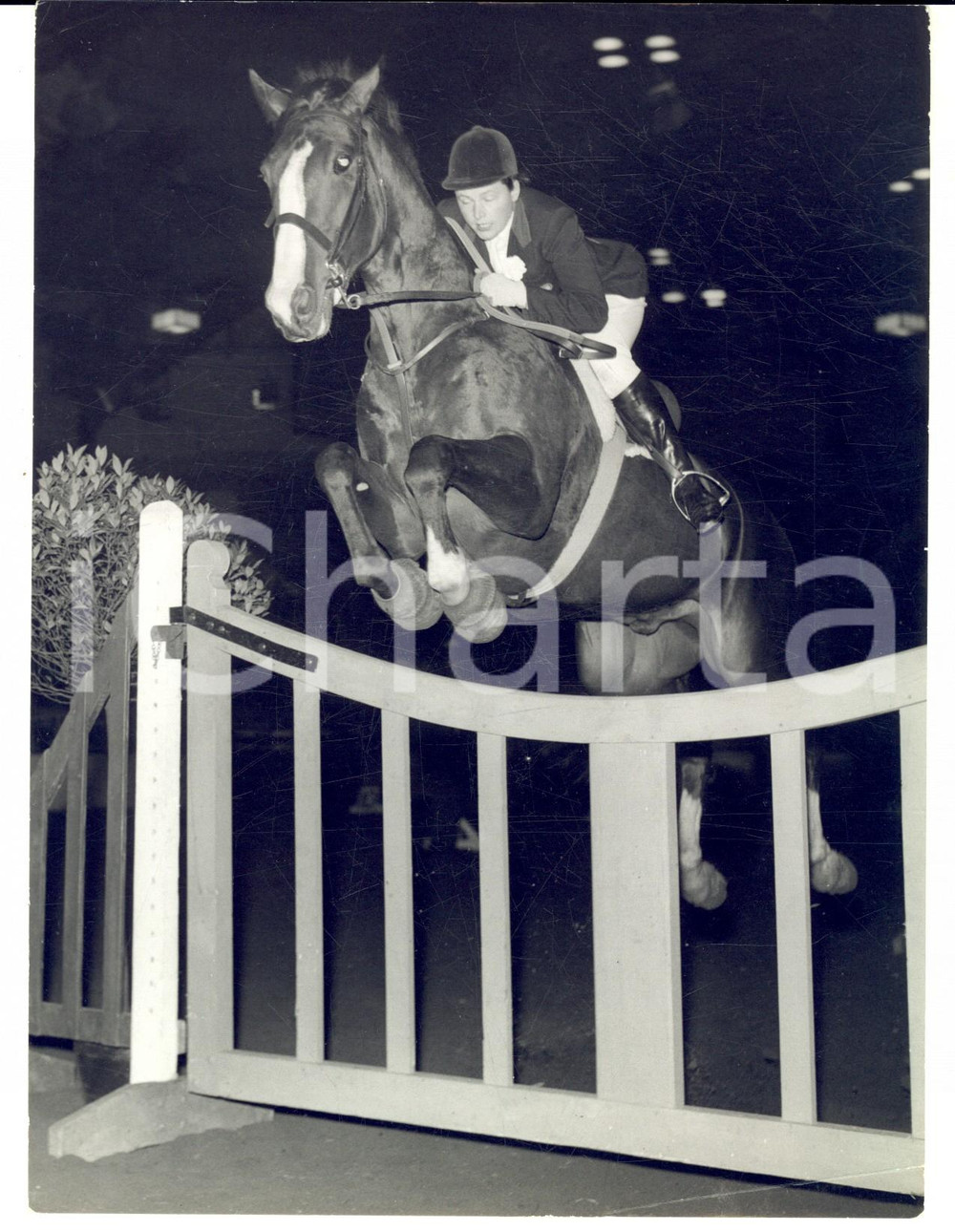 Fotografia d epoca originale 1958 LONDON Pat SMYTHE on GRAND MANAN at the Horse of the Year Show Photo 1