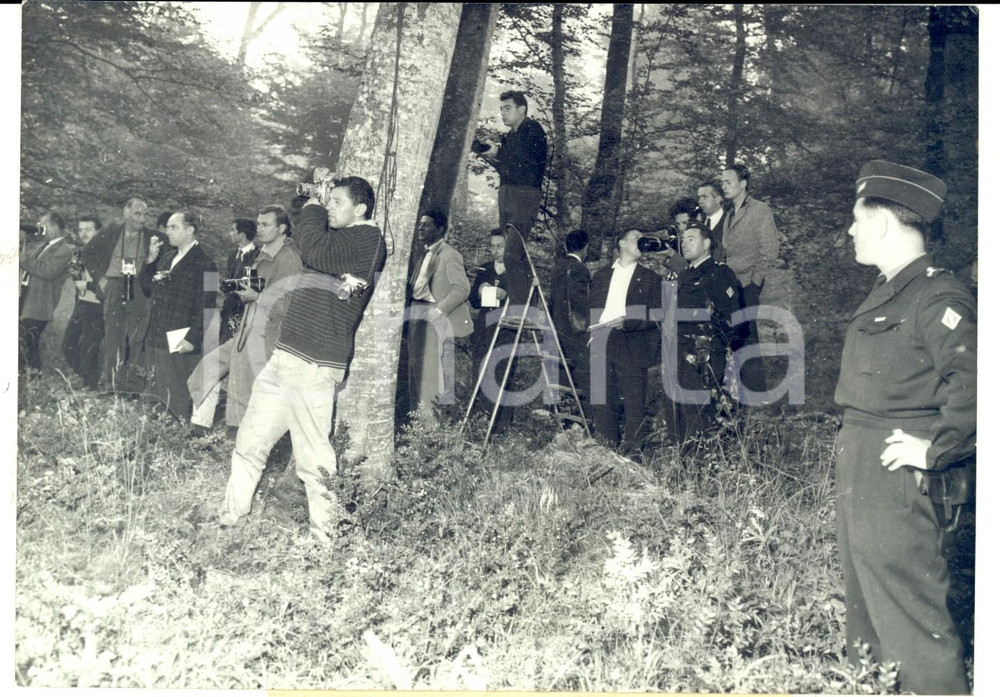 Fotografia d epoca originale 1959 FONTAINEBLEAU Journalistes dans le bois du meurtre Dominique THIREL Photo 1