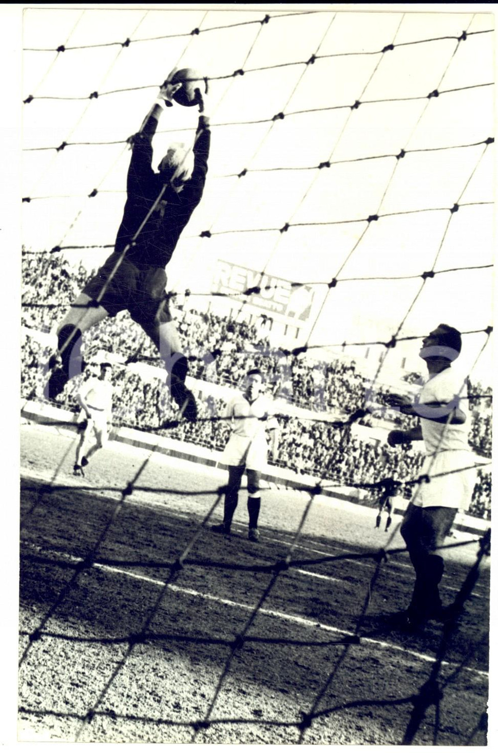 1964 CALCIO SERIE A BARI-GENOA 1-2 Una parata alta *Fotografia 18x13 cm