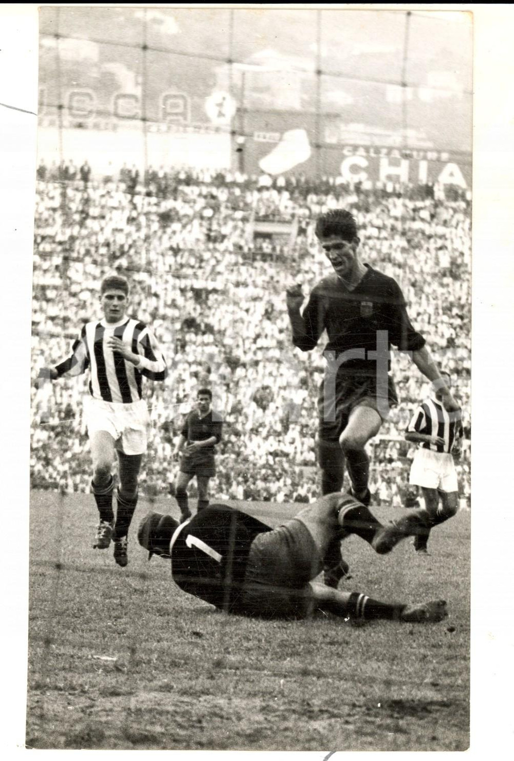 Fotografia d epoca originale 1955 ca CALCIO SERIE A JUVENTUSGENOA Mario DI PIETRO in azione Foto 12x18 cm 1