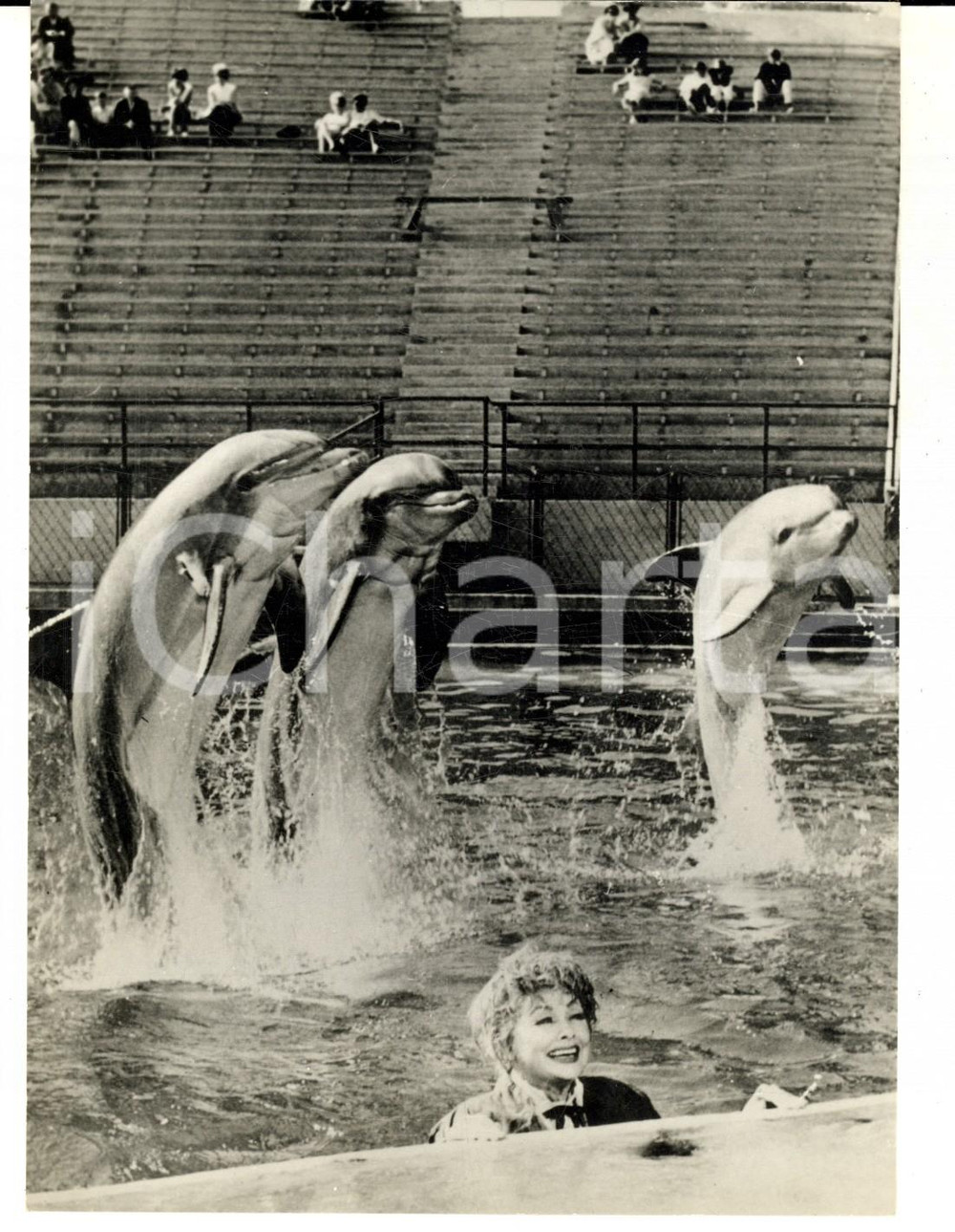 Fotografia d epoca originale 1969 CALIFORNIA Lucille BALL al bagno con i delfini Fotografia 13x18 cm 1