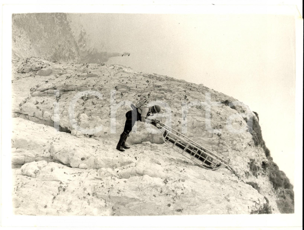 Fotografia d epoca originale 1961 BEACHY HEAD UK P. C. Harry WARD in a rescue demonstration Photo 1
