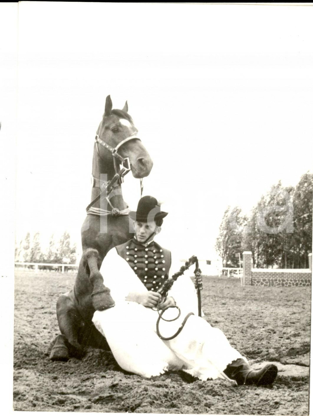 Fotografia d epoca originale 1974 KISFAI UNGHERIA Nuova scuola di ippica  Virtuosismo di un cavallo Foto 1