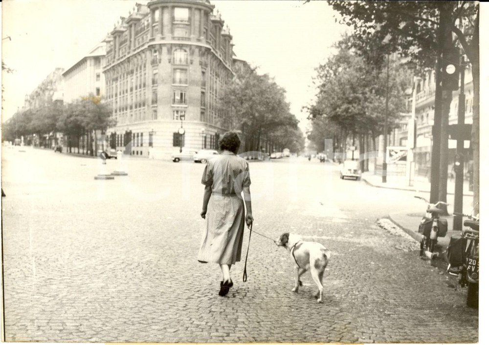 Fotografia d epoca originale 1959 PARIS Grands Boulevards  La ville dÃ©serte le 15 aoÃ»t  Photo 18x14 cm 1