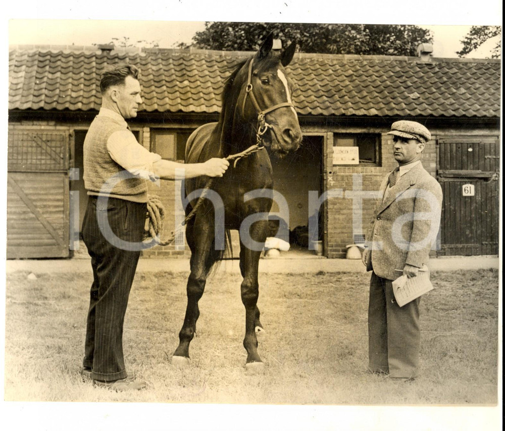 Fotografia d epoca originale 1954 DONCASTER UK Sir Gordon RICHARDS looking a colt for sale Photo 20x15 1