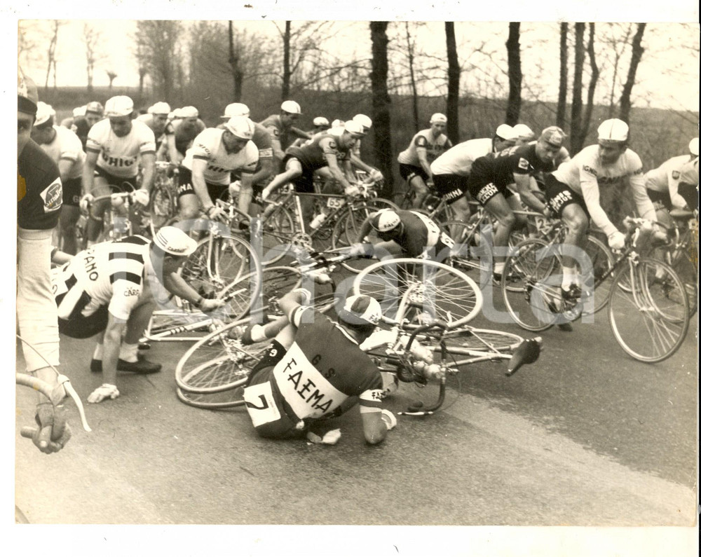 Fotografia d epoca originale 1959 CICLISMO MILANOSANREMO Caduta di Edgar SORGELOOS dopo Pavia Foto 24x18 1