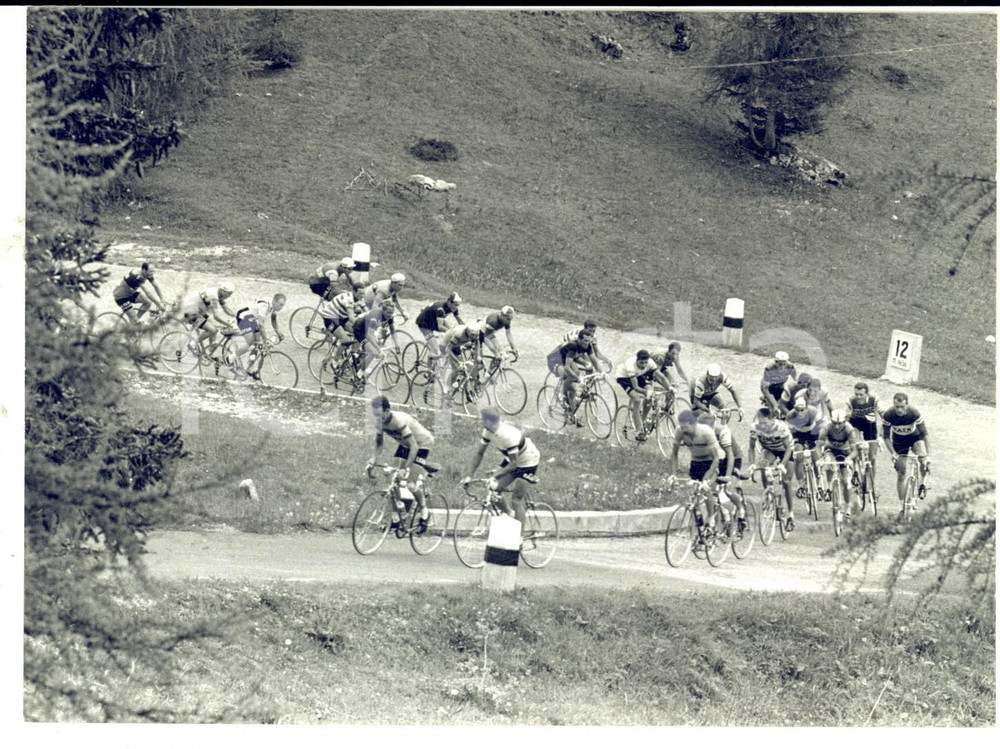 Fotografia d epoca originale 1961 CICLISMO GIRO D ITALIA Imerio MASSIGNAN e Rik VAN LOOY sul PORDOI Foto 1