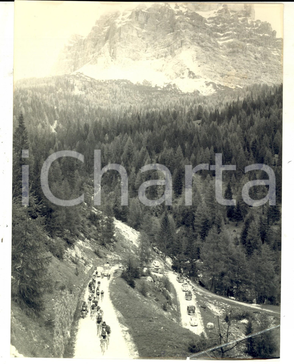 Fotografia d epoca originale 1963 CICLISMO GIRO D ITALIA Tappa BELLUNOMOENA Il gruppo sul VALLES Foto 1