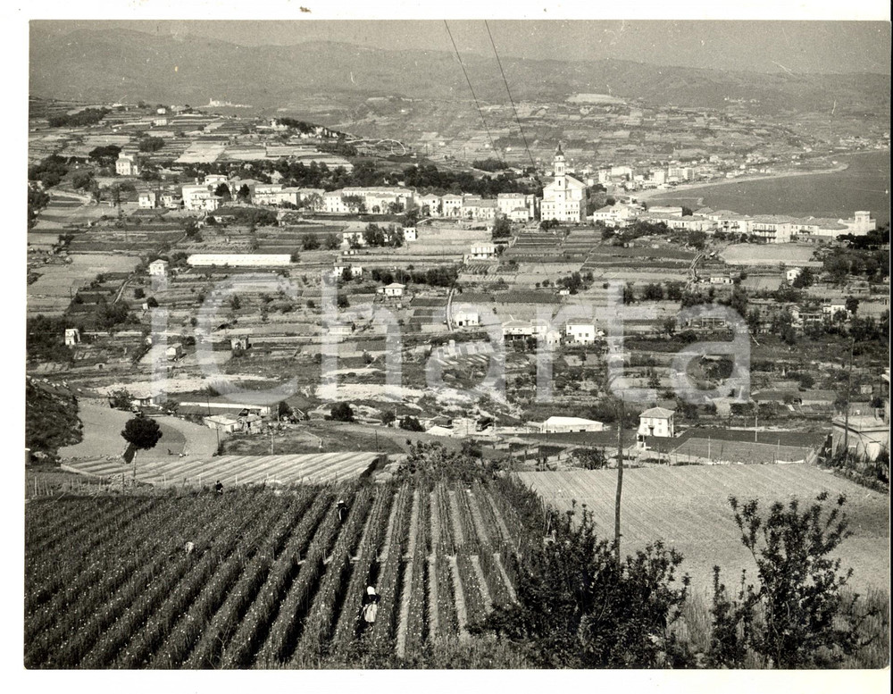 Fotografia d epoca originale 1960 ca LIGURIA Panorama di BUSSANA con ARMA DI TAGGIA Foto 24x18 1