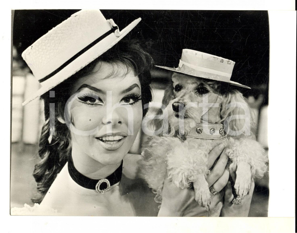 Fotografia d epoca originale 1963 LONDON Gloria PAUL con il suo cane Gigi in una pausa dell ENRICO VI Foto 1