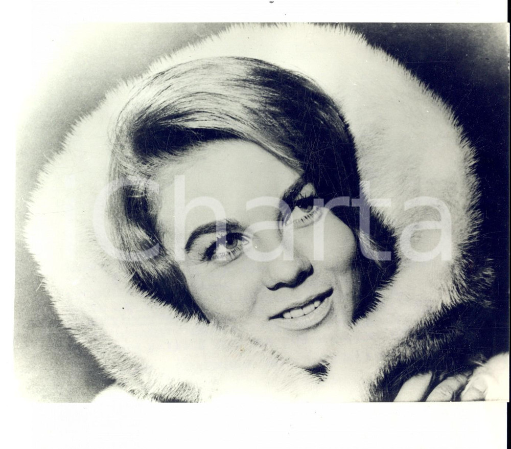 Fotografia d epoca originale 1963 CINEMA Ritratto di Ann MARGRET in Bye bye Birdie Foto 18x13 cm 1